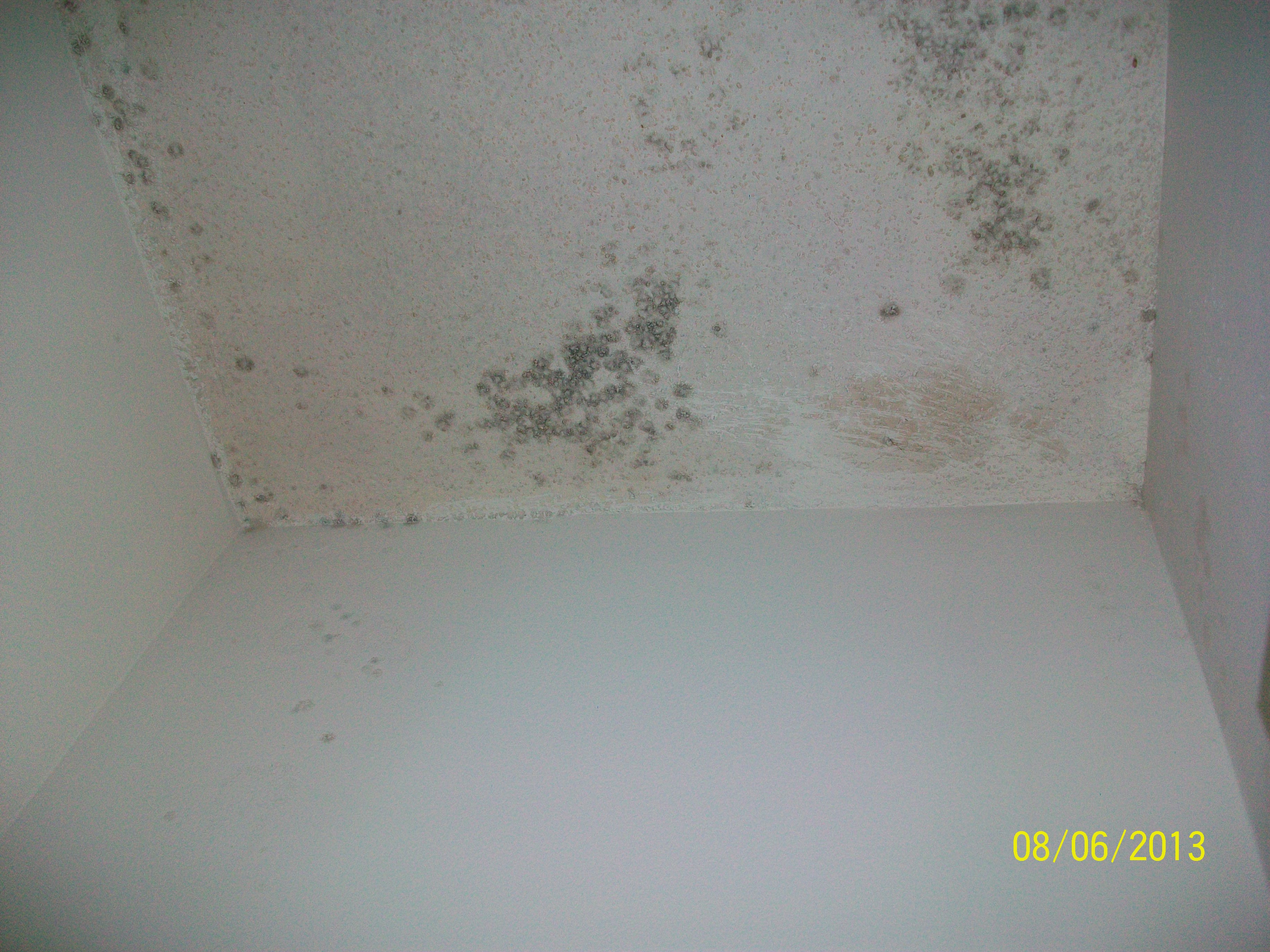 Black Mold - another ceiling