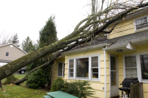 Storm damage restoration Greenboro NC