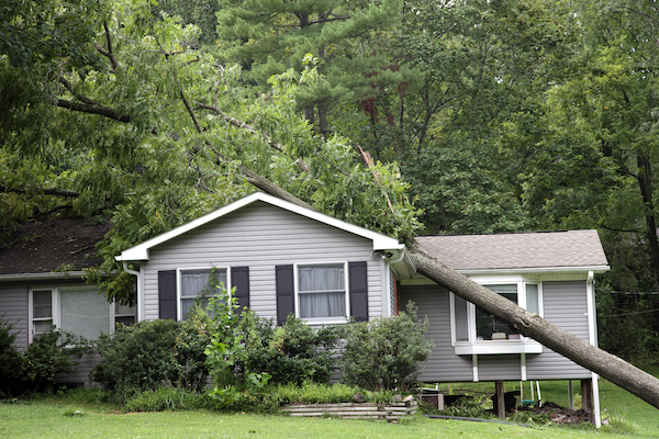 storm damage cleanup